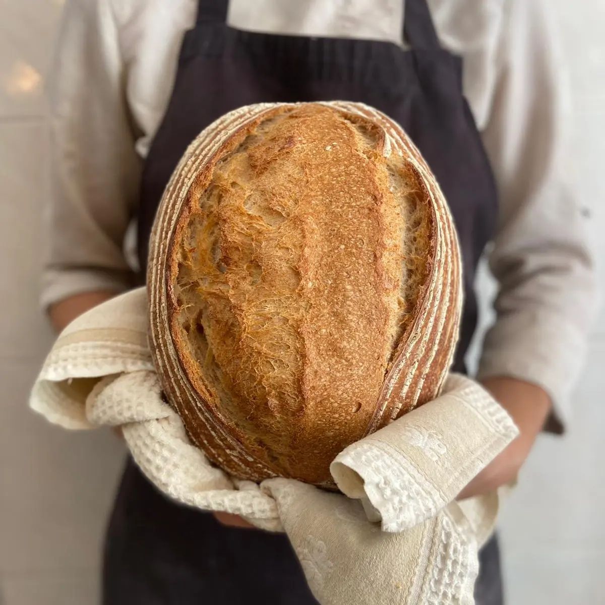 toghma-artisan-bakes-malta-pane